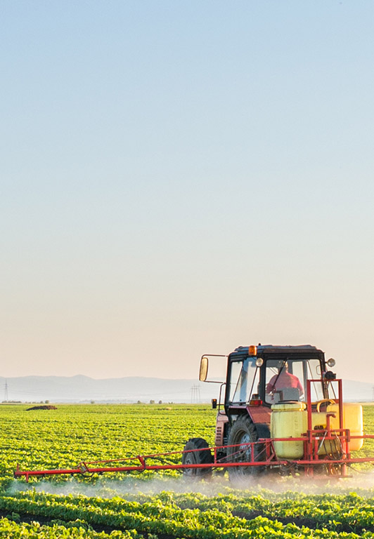 Agriculture Overview